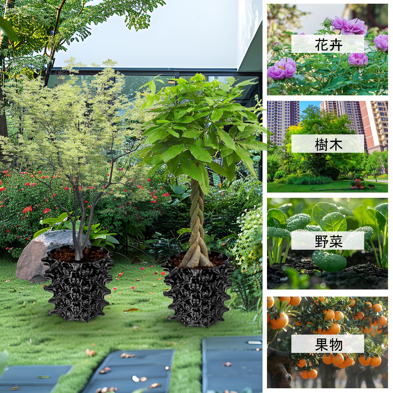 Amazon.co.jp: RooTrimmer ルートプラスポット 8号 植木鉢 6個